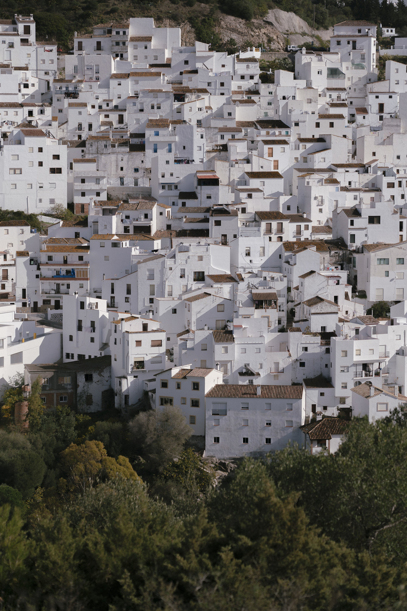 Estepona