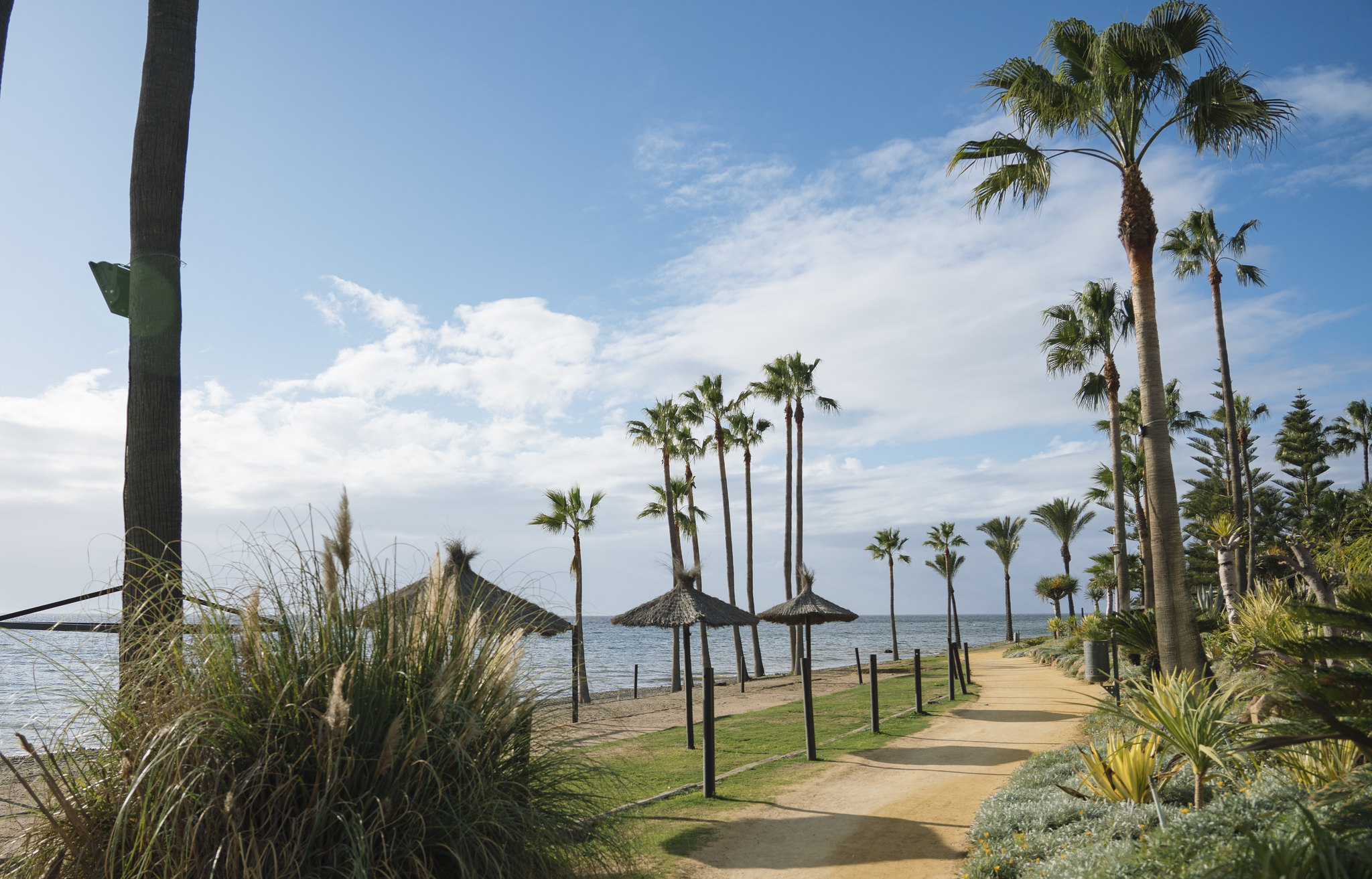 Estepona